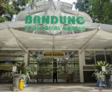 Hore! Ada Kabar Baik dari Kebun Binatang Bandung - JPNN.com