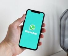 Sambut Libur Akhir Tahun, WhatsApp Tingkatkan Fitur Panggilan - JPNN.com