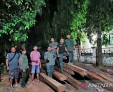 Sisir Lokasi Rawan Pembalakan Liar, KPH Tabalong Temukan 34 Batang Kayu Tak Bertuan - JPNN.com