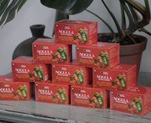Nogula, Produk Herbal Untuk Menurunkan Kadar Gula dari NYONYA MANEES - JPNN.com