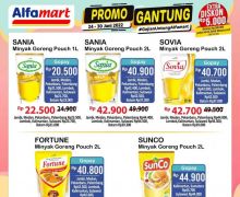 Promo JSM Alfamart, Banyak Diskon Kebutuhan Rumah Tangga, Lumayan nih! - JPNN.com