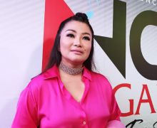 Viral Perselingkuhan Pilot dan Pramugari, Fitri Carlina Malah Kena Imbasnya - JPNN.com