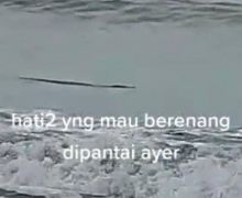 Dari Mana Buaya Muncul di Pantai Anyer? - JPNN.com