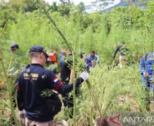 Polisi dan TNI Rela 3 Jam Berjalan Kaki Demi Tangkapan Besar, Total 13 Ton! - JPNN.com