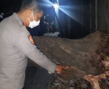 Hilan Tewas Tertimpa Pohon di Bekasi, Begini Kronologinya - JPNN.com