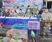 TNI AL Gagalkan Penyelundupan Puluhan Satwa Langka dari Papua ke Jatim - JPNN.com