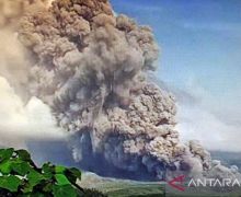Petugas PPGA: Gunung Semeru Mengalami 22 Kali Letusan - JPNN.com