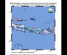 Menjelang Dini Hari, Gempa Susulan Masih Mengguncang Karangasem Bali, Ini Penyebabnya - JPNN.com