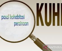 Simak Pendapat Adrianus Meliala soal Kohabitasi di KUHP Baru - JPNN.com
