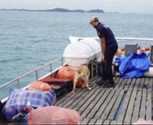 Kapal Rahmat Jaya 12 Ditangkap Satgas Patroli Laut BC Batam, Bawa Banyak Barang Ilegal - JPNN.com