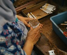 Peneliti Sebut Aturan Produk Tembakau di RPP Kesehatan Tak Hanya Merugikan Petani, Tetapi - JPNN.com
