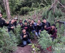 Beredar Info Pemilik Kebun Ganja Ditembak & Dibuang, Polda Sumsel Bilang Begini - JPNN.com