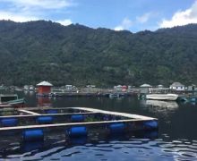Ratusan Ton Ikan di Danau Ranau Mati Mendadak, Dinas Perikanan Ungkap Penyebabnya - JPNN.com