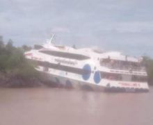 Kapal MV Dumai Line 9 Tabrak Hutan Mangrove, Penumpang Mengamuk - JPNN.com
