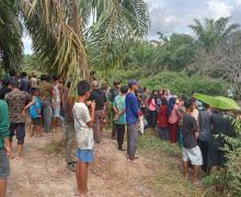 Petani Rohil Hilang Saat Cari Rumput di Kanal, Saksi Lihat Binatang Buas - JPNN.com
