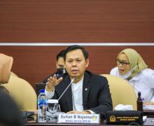 Harga Pakan Unggas Melambung, Sultan DPD Minta Pemerintah Jajaki Impor Gabah Kering - JPNN.com