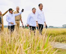 Presiden Jokowi dan Mentan Panen Raya di Kebumen, Bupati Arif Sugiyanto Sampaikan Hal Ini - JPNN.com
