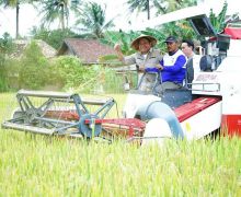 Bupati OKI Puji Kontribusi Besar Gubernur Herman Deru Tingkatkan Produktivitas Pertanian - JPNN.com