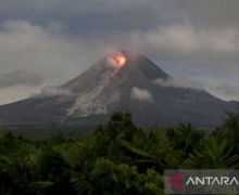 Pagi-Pagi Gunung Merapi Meluncurkan Guguran Lava Pijar 17 Kali - JPNN.com