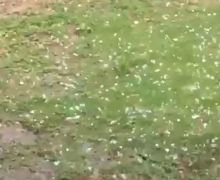 Hujan Es di Pekanbaru, BMKG Beri Penjelasan Begini - JPNN.com