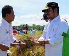 Klaten Panen Raya Padi IP400, Mentan SYL Bersyukur: Segera Diperluas ke Daerah Lain - JPNN.com