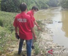 Polisi Bergerak Cepat Menyelidiki Penyebab Ribuan Ikan Mati di Sungai Cileungsi - JPNN.com