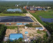 IPP Pembangkit Listrik Tenaga Biogas Pertama di Riau Resmi Beroperasi - JPNN.com