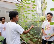 PMN Gelar Pelatihan Budi Daya Melon dan Ajak Milenial Tangerang Untuk Bertani - JPNN.com