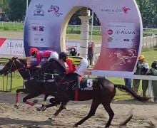Siapkan Atlet Berkuda Berbakat, Pordasi Gelar Kejuaraan Pacu Kuda di Bantul - JPNN.com