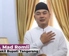 Wow, Kekayaan Wakil Bupati Tangerang dalam Setahun Rp 40 Miliar - JPNN.com