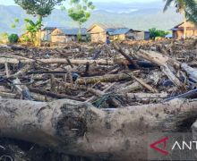 Banjir di Balinggi, 3.555 Warga Terdampak, 1 Orang Meninggal Dunia - JPNN.com