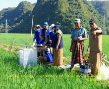 Petani-Penyuluh Pangkep Lakukan Pengukuran GRK Melalui Program CSA - JPNN.com