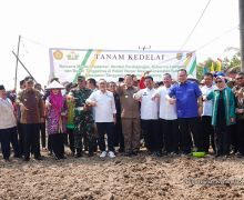 Tanam Kedelai di Tanggamus, Mendag Zulhas Beber 3 Kunci Memajukan Petani Indonesia - JPNN.com