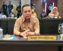 Harga TBS Kelapa Sawit di Riau Turun Lagi Jadi Sebegini - JPNN.com
