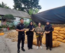 Bea Cukai Malang Kawal Ekspor Perdana 27 Ton Jahe Gajah ke Bangladesh - JPNN.com
