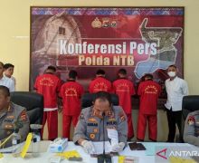 Sindikat Penyelundupan 28 Ribu Benih Lobster di NTB Terbongkar, 5 Pelaku Ditangkap - JPNN.com