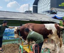 Ahmad Sahroni Center Bagikan 22,5 Ton Daging Kurban di Jakut dan Jakbar - JPNN.com