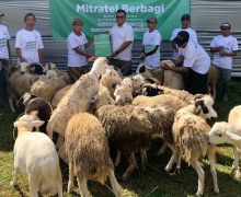 Rayakan Iduladha, Mitratel Bersama BAZNAS Menyalurkan 3.467 Paket Daging Kurban - JPNN.com