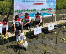 Pertamina International Shipping Tanam 10 Ribu Mangrove - JPNN.com