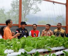 Presiden Jokowi Apresiasi Waibu Agro Edu Tourism Milik PYCH Binaan BIN - JPNN.com