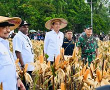 Bupati Keerom Apresiasi Tingginya Perhatian Kementan Terhadap Sektor Pertanian di Papua - JPNN.com