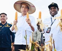 Billy Beber Perhatian dan Visi Besar Jokowi dalam 17 Kali Kunjungan ke Papua - JPNN.com