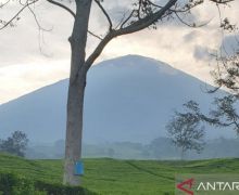 Status Gunung Dempo Kini di Level Waspada - JPNN.com