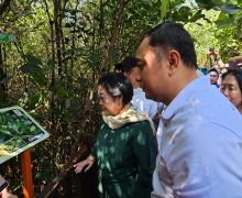 Disambut Gubernur Khofifah, Megawati Bakal Resmikan Kebun Raya Mangrove - JPNN.com