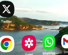 Alasan Apple Tak Mengizinkan Twitter Ubah Logo ke X, Ternyata.. - JPNN.com