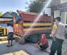 Truk Pengangkut 37 Ekor Babi Ini Dicegat Polisi - JPNN.com