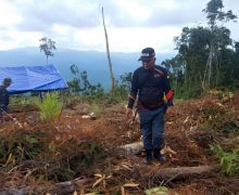 KLHK Tetapkan 2 Tersangka Kasus Perambahan Hutan di Luwu Timur Sulsel - JPNN.com
