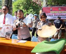 3 Penambang Emas Ilegal di Pasbar Ditangkap, Pemodal Masih Diburu - JPNN.com