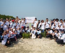 Perwira Muda PIS Tanam 1.000 Mangrove & Transplantasi Terumbu Karang - JPNN.com