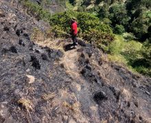 Polisi Ungkap Penyebab Kebakaran 140 Hektare Lahan di Gunung Rinjani - JPNN.com